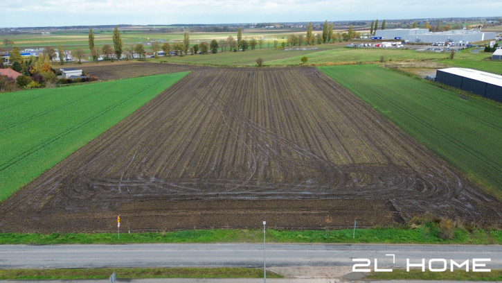 Działka Sprzedaż Pianowo 7