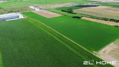 Działka Sprzedaż Czachorowo