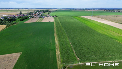 Działka Sprzedaż Czachorowo