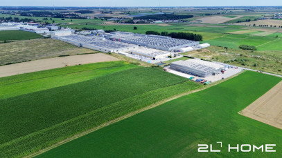 Działka Sprzedaż Czachorowo