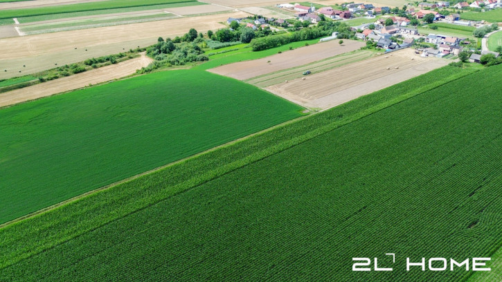 Działka Sprzedaż Czachorowo 7