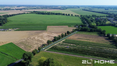 Działka Sprzedaż Stary Gołębin