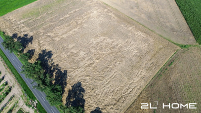 Działka Sprzedaż Stary Gołębin