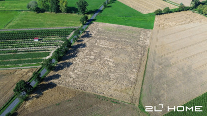 Działka Sprzedaż Stary Gołębin